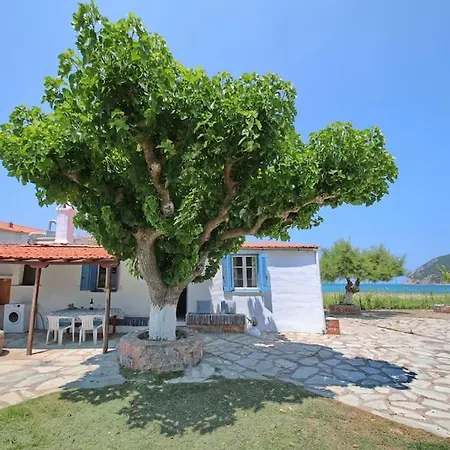 House *